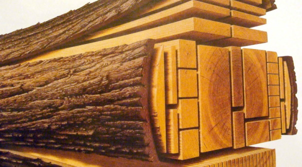 Матеріалознавство деревина
